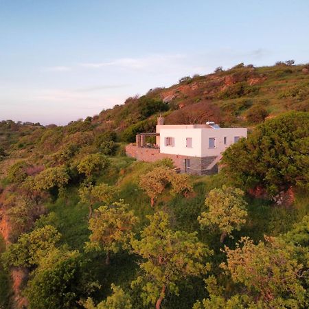 Cycladic Villa With Sea View! Ioulis Экстерьер фото